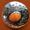 Hair Ties - Hair Tie/Pony Tail Holder Spiny Oyster