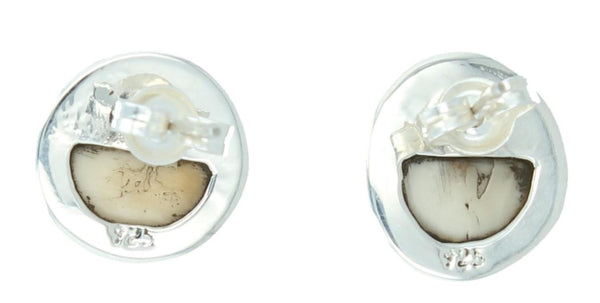 Earrings - Fossilized Walrus Ivory Stud Earrings