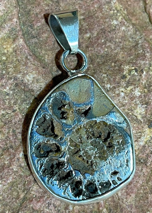 Pendants - Ammonite Pendant