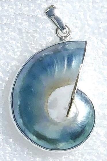 Pendants - Nautilus Shell Pendant