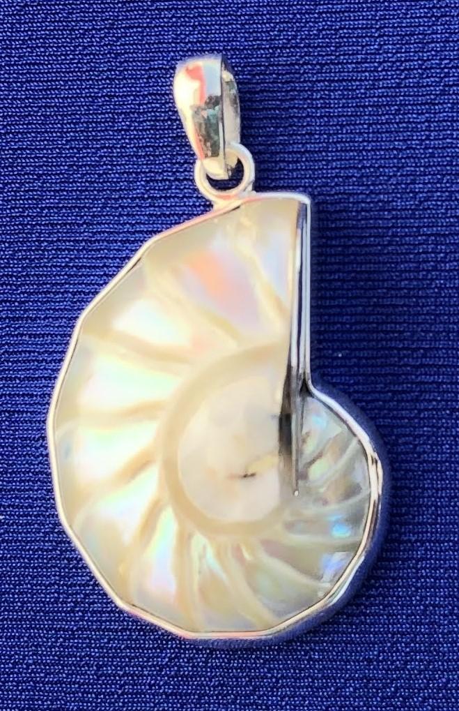 Pendants - Nautilus Shell Pendant